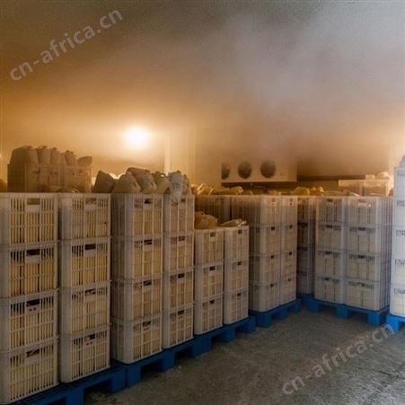 上海恒亮蜂皇浆胶囊外贸出口品质