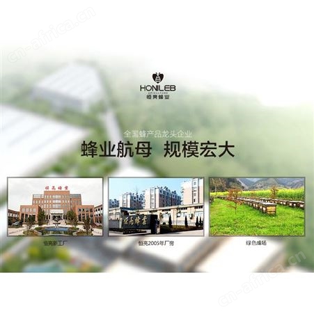 散装蜂蜜蜜饯蜂蜜直播带货货源