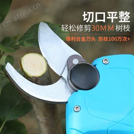 电动修枝剪刀无线便携式锂电充电式果树剪子园林强力高粗枝剪枝机