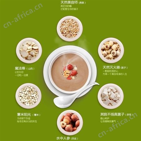 新鲜蜜桃乌龙茶 三角包袋泡茶OEM定制代加工 真材实料 配方定制 专业代用茶 山东康美