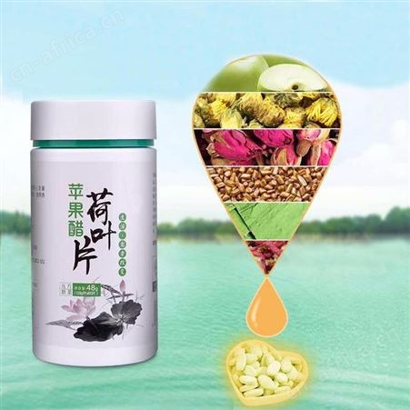 植物饮料 冬瓜荷叶茶 易拉罐饮品 定制代加工生产oem250ml 山东康美