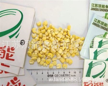 FD真空冷冻干燥玉米粒批发 顶能香甜美味玉米粒