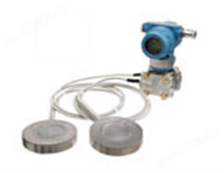 隔膜差压变送器