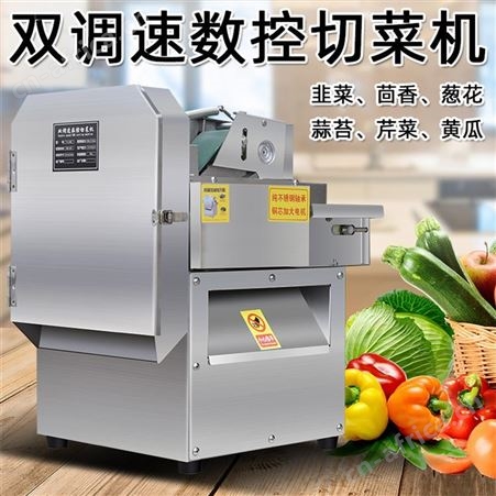 隆创 全自动切菜机 切葱机器韭菜包菜切段机器