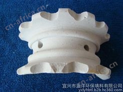 萍乡 化工塔用 陶瓷异鞍环填料    瓷环填料  25-75mm    *    价格从优 陶瓷填料
