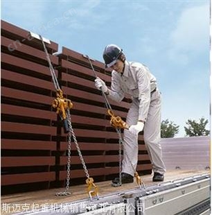 精品国标3吨25米/钢丝绳手板葫芦/钢丝绳牵引器1.5吨20米30米40米