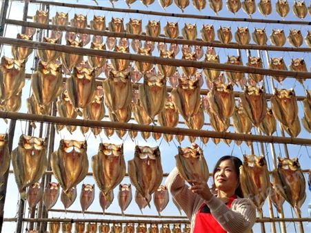 鱼干冷风烘干房 采用低温热泵回收原理 风干品质更自然