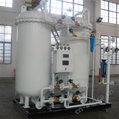 氮气发生器 大型制氮机 食品制氮机
