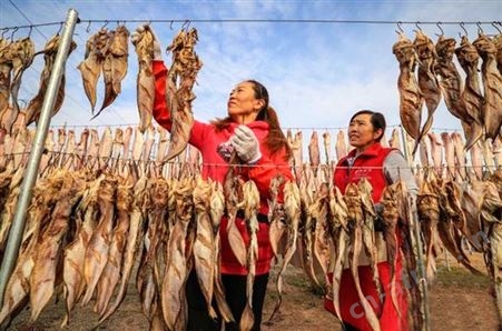鱼干冷风烘干房 采用低温热泵回收原理 风干品质更自然