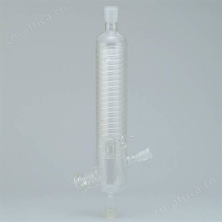 日本sekiya关谷理化100ML茄子形烧瓶-共通型量瓶烧瓶S12-246-090