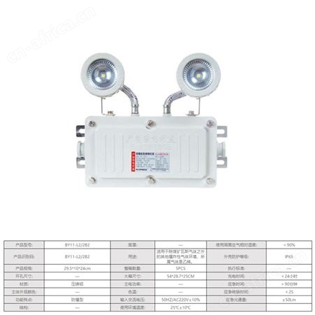 劳士敏华电工LED照明IP65防爆防水应急灯压铸铝防水AC220V自电双头灯BY11-L22B2