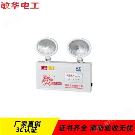 劳士敏华电工指示安全出口自电led工厂照明灯纳米板平镜DC36V应急双头灯M-ZFZD-E0.5W3023