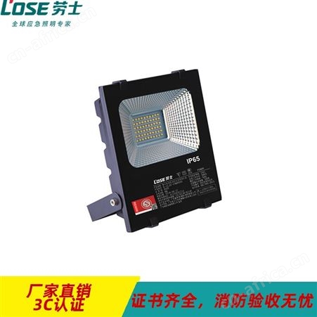 劳士6S光世界应急集电自控智能照明控制模块户外防水LED贴片AC220V投光灯N-ZLJD-E8W9000