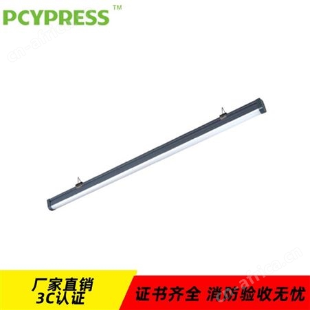 飞普利斯消防安全工程专用LED智能疏散系统PC单管应急三防支架N-ZLZD-E9W1399