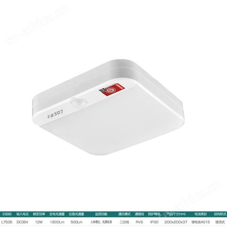 劳士拿斯特自电集中应急电源led照明灯人体感应方形吸顶灯L-ZLZC-E12W7535