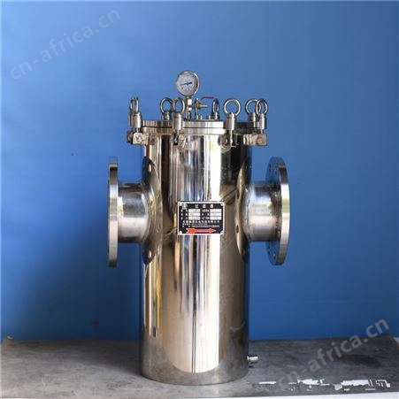蓝式过滤器 管道过滤器 T型过滤器 篮式过滤器 毛发过滤器厂家  生产毛发聚集器 毛发过滤器 游乐场