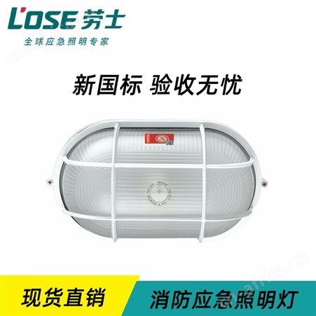 劳士拿斯特电气火灾监控系统应急照明防潮椭圆AC220V三防灯N-ZLZD-E20W1924