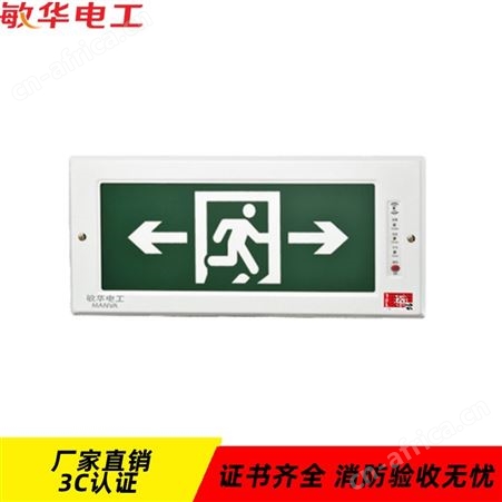 敏华电工劳士应急照明太阳能庭院灯安全出口大号导光板嵌墙式标志灯N-BLZD-1LROEⅠ5WEAT
