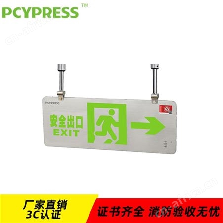 拿斯特飞普利斯0.48cm双面吊杆不锈钢应急照明向左标志安全出口指示灯N-BLZD-2LROEⅠ5WGAK