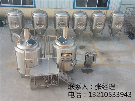 2017年创业项目500升中酿精酿啤酒屋