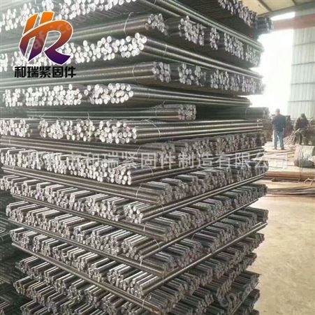 梯形丝杠 T12-T60各种牙距 导程丝杠都可定制正反扣丝杠 和瑞