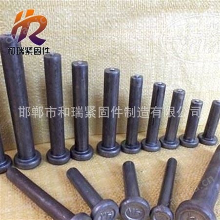 16-25 和瑞紧固件厂家【焊钉】  规格齐全 欢迎