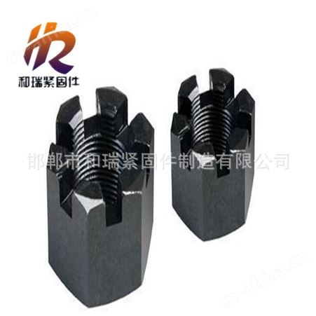 和瑞，现货供应高强度开槽螺母，花母，六角开槽螺母M30