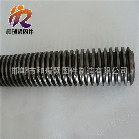 梯形丝杠 T12-T60各种牙距 导程丝杠都可定制正反扣丝杠 和瑞