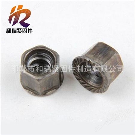和瑞 销售 梯形扣圆螺母T型加厚螺母 粗扣圆母 M16 18 20 24 30