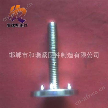 皮带螺丝 皮带扣螺栓 规格齐全 现货供应  欢迎和瑞