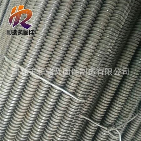 高质量丝杠 和瑞厂商定做高强度丝杠 现货供应 常年备有现货