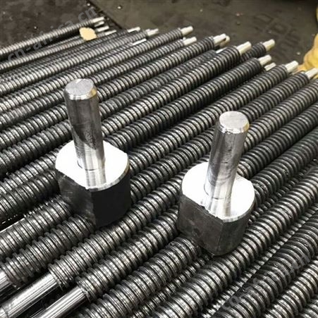 梯形丝杠 T12-T60各种牙距 导程丝杠都可定制正反扣丝杠 和瑞