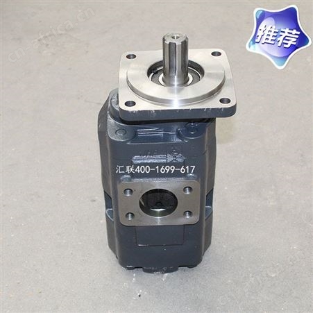 装载机配件 铲车柳工856转向泵 双联泵齿轮油泵总成 件号11C0168