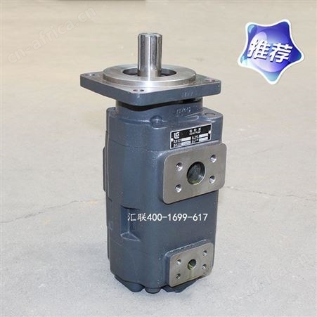 装载机配件 铲车柳工856转向泵 双联泵齿轮油泵总成 件号11C0168