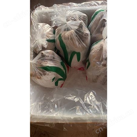 乌棕鹅 绿色黑棕鹅厂家 速冻整鹅烧鹅 清远黑棕鹅 鲜鹅皇