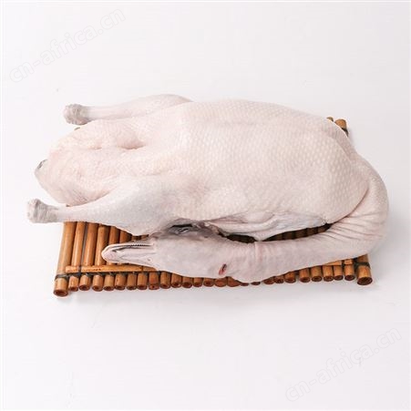狮头鹅现杀冰鲜新鲜厂家直发