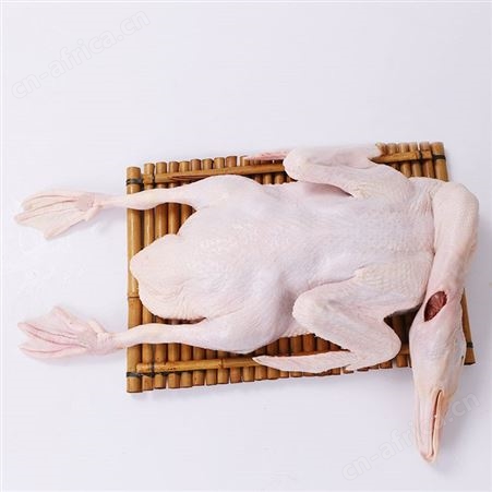 水养白条鸭现杀新鲜批发