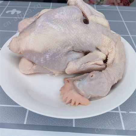 新鲜冷冻三黄鸡 清远鸡 文昌鸡 整只