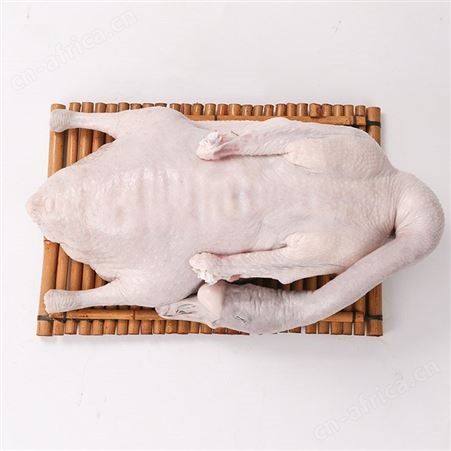 狮头鹅现杀冰鲜新鲜厂家直发