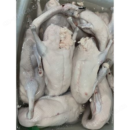 卤鹅翅食材 冷冻大鹅 基地销售 鲜鹅皇