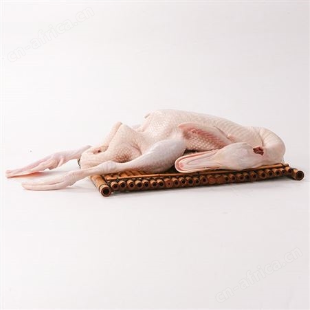 水养白条鸭现杀新鲜批发
