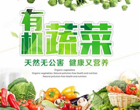 广东佛山食材配送，蔬菜配送，咨询千喜鹤 口碑良好