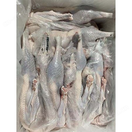 批发冻黑棕鹅 烤鹅专用老鹅 基地直供 鲜鹅皇