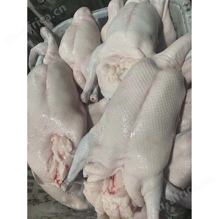 批发老鹅鹅头 冷冻黑棕鹅 白条烧鹅 多肉鹅脚翅 鲜鹅皇