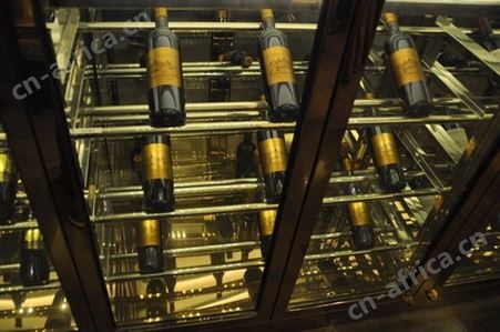 私人别墅酒窖门不锈钢恒温酒柜 不锈钢酒架