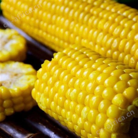 绿拓食品优质冷冻水果甜玉米粒速冻果蔬开袋即食