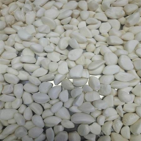 绿拓加工处理成品速冻蒜块 烹饪调味即用蒜米供应