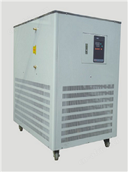 DLSB-10L低温冷却液循环泵