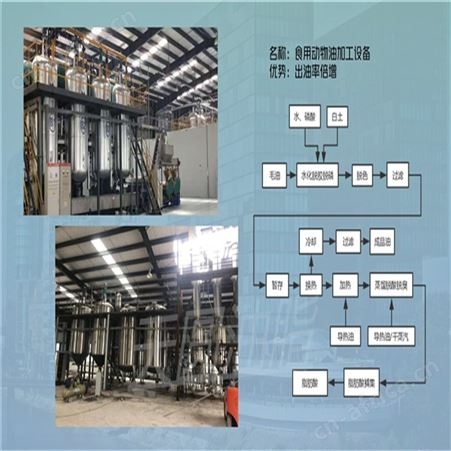 动物油加工设备 日产3吨动物油熔炼设备 牛油密闭熔炼成套设备天圆油脂  设计合理