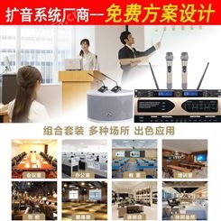 帝琪桌面话筒多媒体扩声系统设备会议室音频系统方案一拖二无线桌面台式话筒DI-3800
